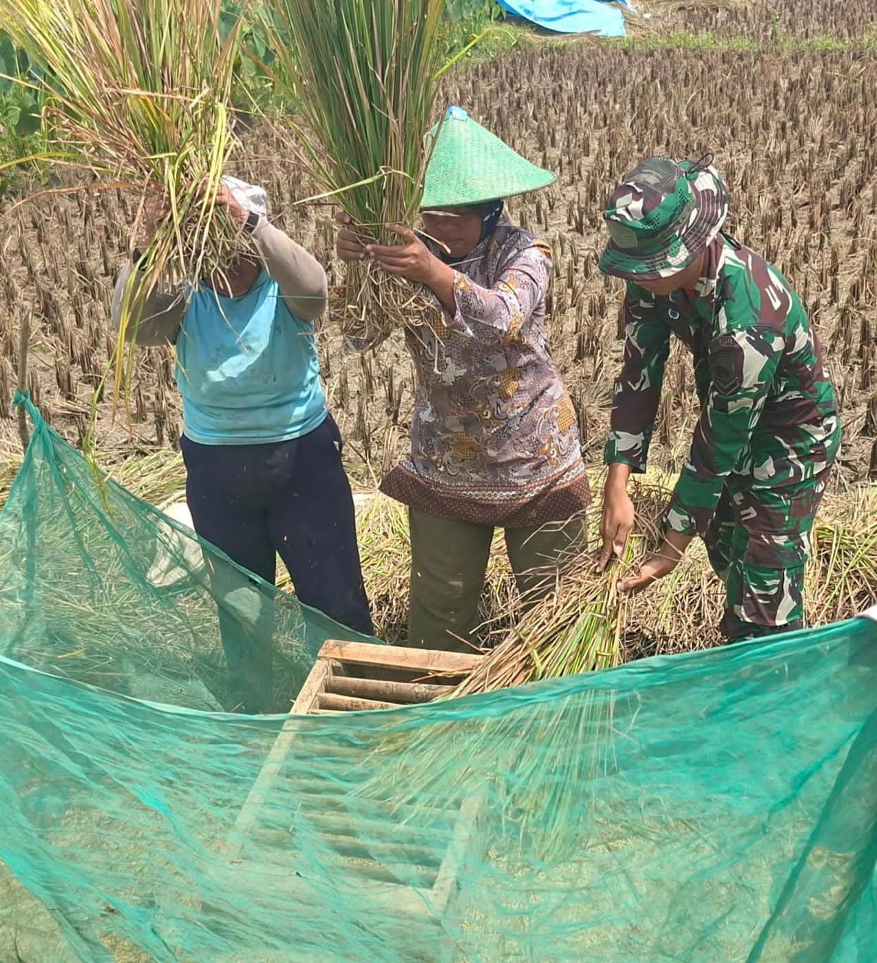 Jalan Baru TMMD Brebes Sudah Dibangun TNI Sangat Membantu Petani Angkut Hasil Panen