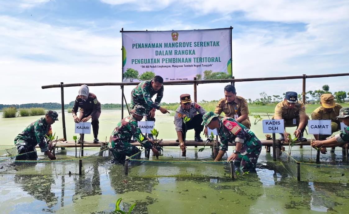 Program Tanam 1.000 Mangrove Serentak, Kodim 0711/Pemalang Perkuat Ketahanan Pesisir