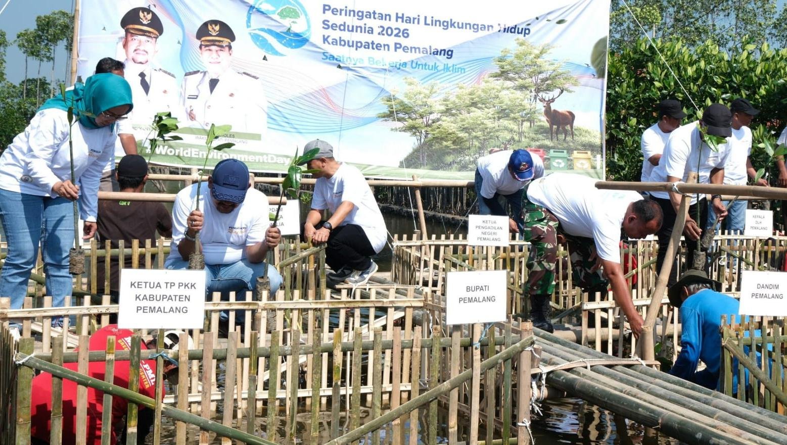 Pemerintah Kabupaten Pemalang Tanam 3.000 Mangrove Peringati Hari Lingkungan Hidup Sedunia 2026